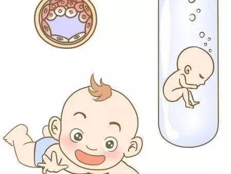 胚胎实验室