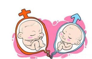 案例
